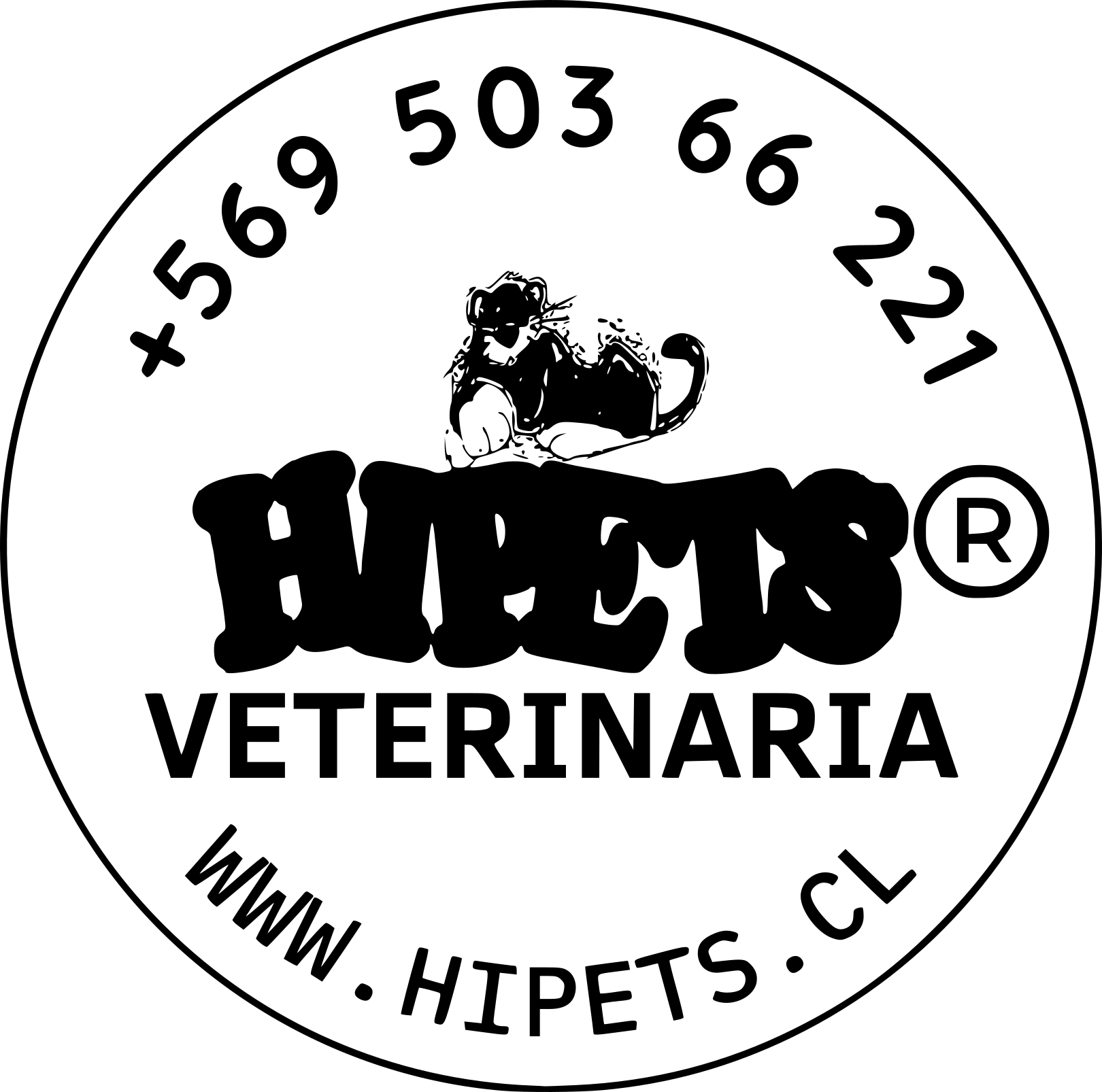 VetLog